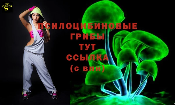 СК Аркадак